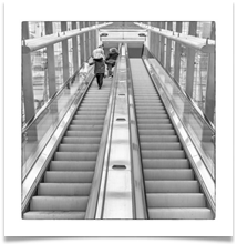 looking up 1 - Rob Shaw